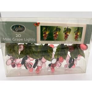 New in box  Enchanted Garden mini grape lights for indoor and outdoor